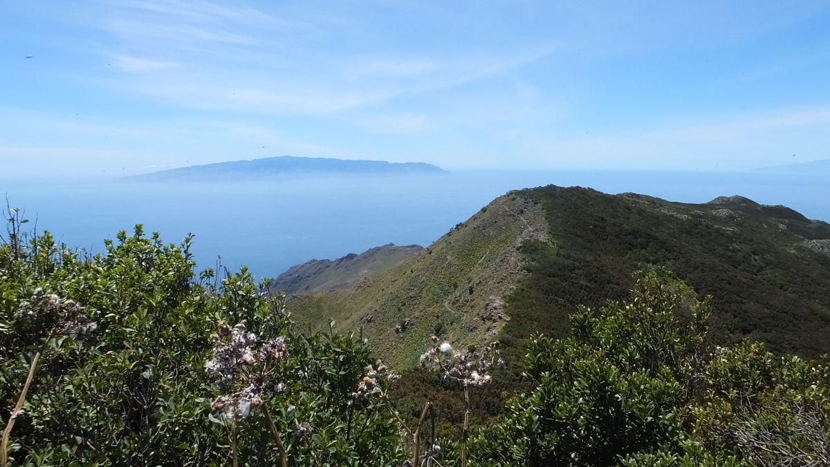 Gomera (?)