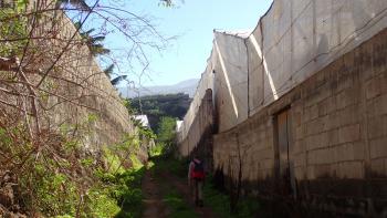 zurück durch hässliche Bananenplantagen