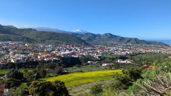 Zum Tafelberg von Tegueste