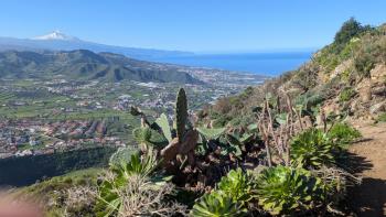der Weg bietet immer wieder schöne Aussichten