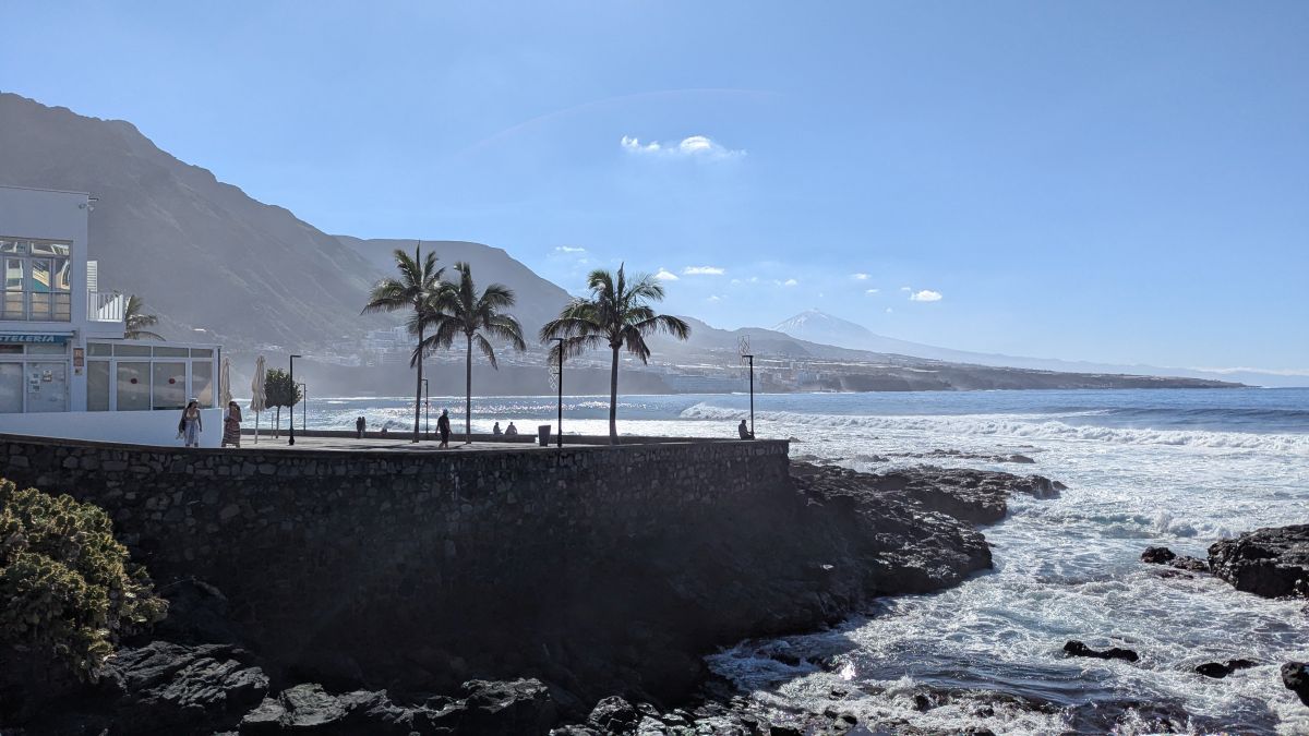zurück in Punta Hidalgo