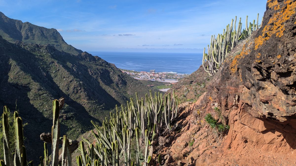 Blick zurück nach Punta Hidalgo