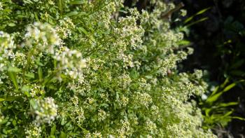 PXL_20251231_123544912