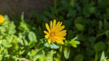 PXL_20251231_123800686