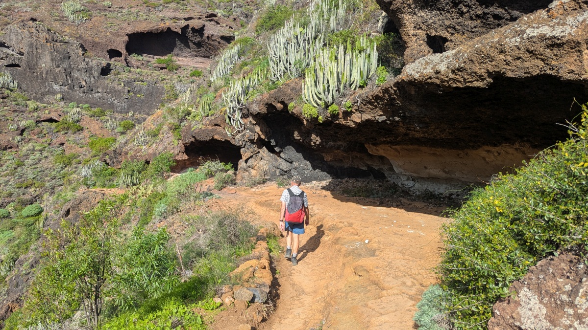 weg unter Kandelaber-Euphorbien