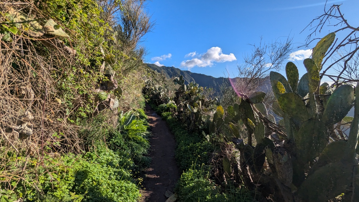 Weg nach Cruz de Afur