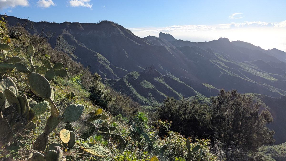 PXL_20260102_094837996