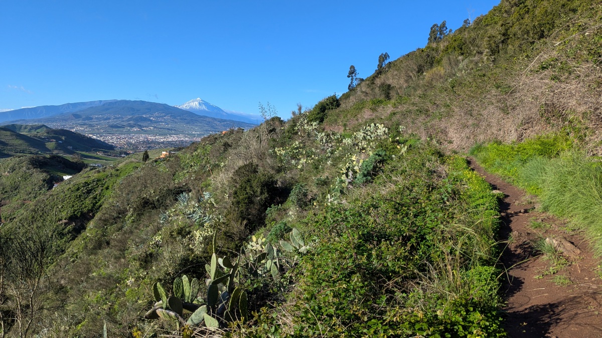 noch ist der Teide allgegenwärtig