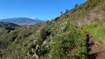 PXL_20260102_094942651