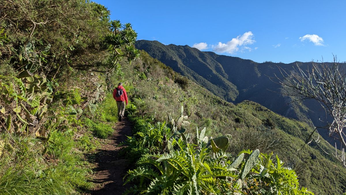 das grüne Anaga-Gebirge