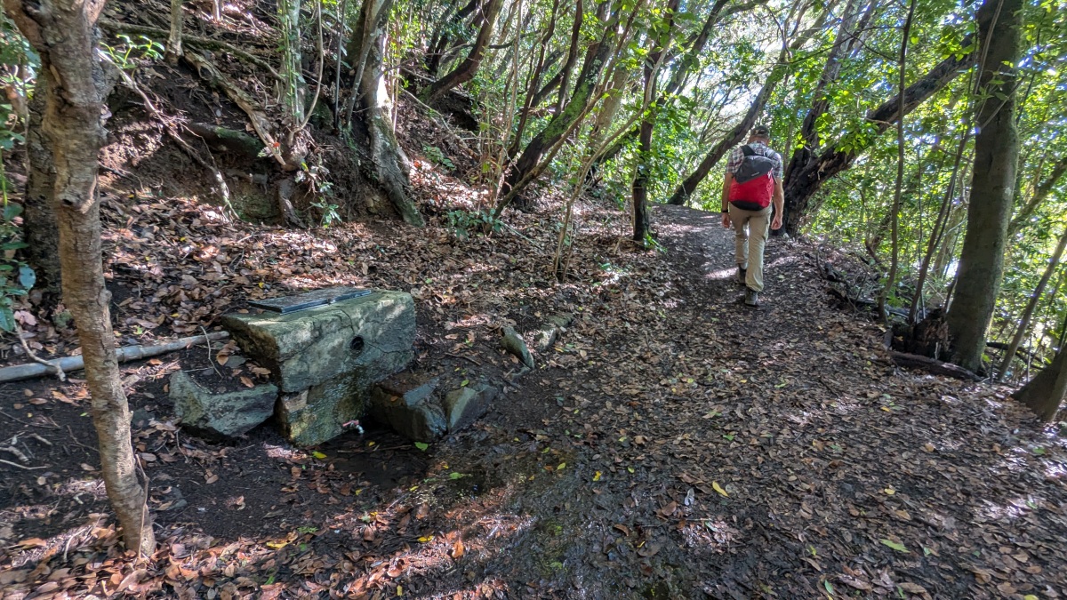 PXL_20260102_102003416