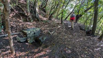 PXL_20260102_102003416