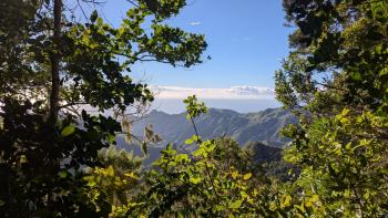 PXL_20260102_102256155