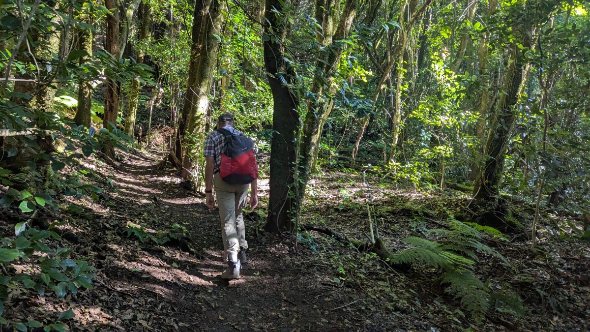 Weg nach Cruz de Afur