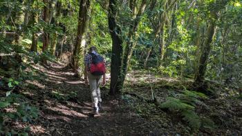 PXL_20260102_103414139