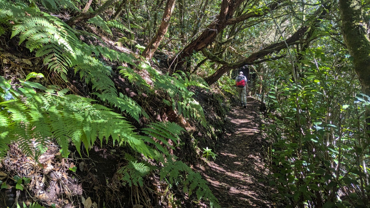 PXL_20260102_103719674