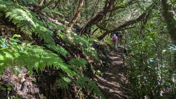 PXL_20260102_103719674