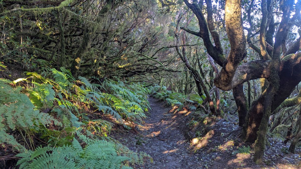 PXL_20260102_105825846