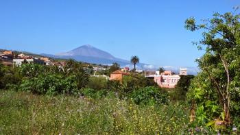 Abschied vom Teide