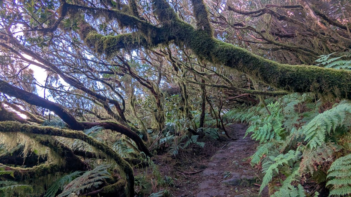 so kennt man das Anaga-Gebirge