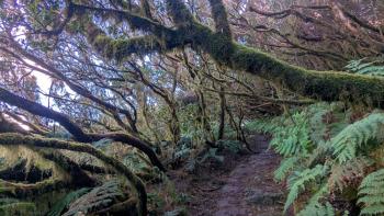 PXL_20260102_105958695