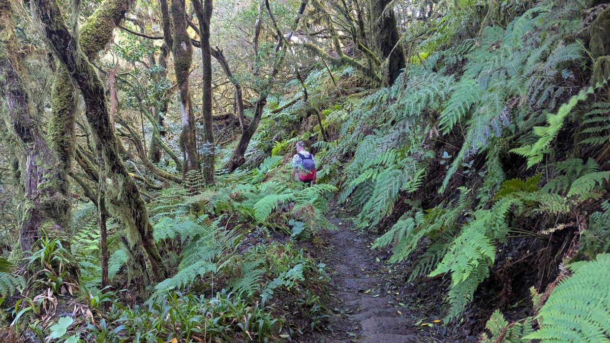 PXL_20260102_110132813