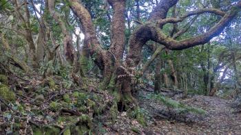 PXL_20260102_112038756