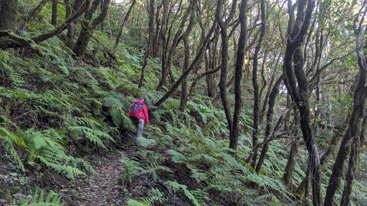 Weg zum Cruz del Carmen