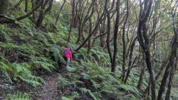 PXL_20260102_113352648