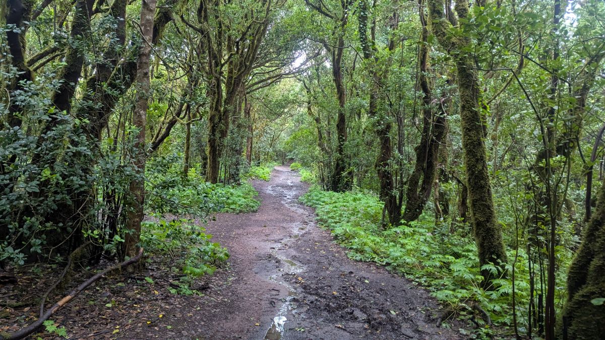Beginn des anmeldepflichtigen Weges