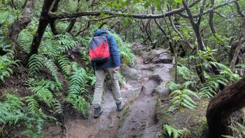 ziemlich ausgetretene Wege