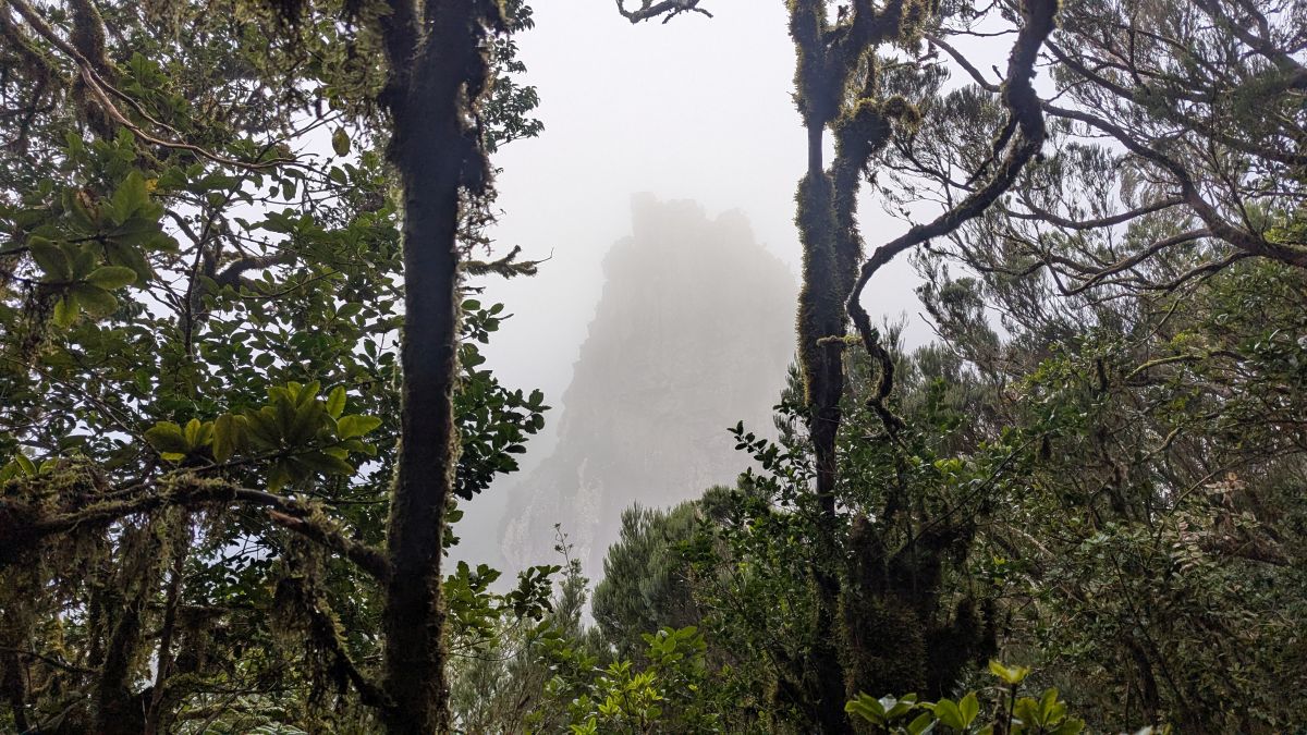 Roque Anabro in den Wolken