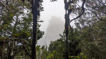 Roque Anabro in den Wolken