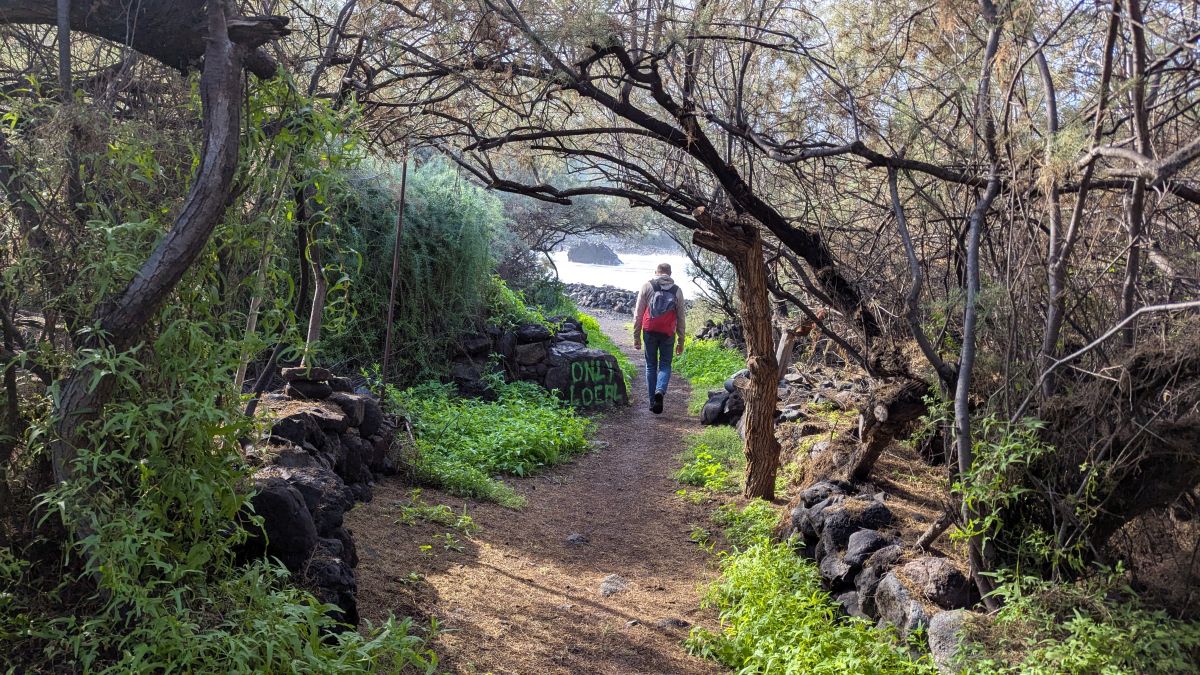 Weg zum Strand „Playa de los tarajales“