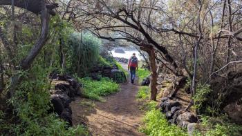 Weg zum Strand „Playa de los tarajales“