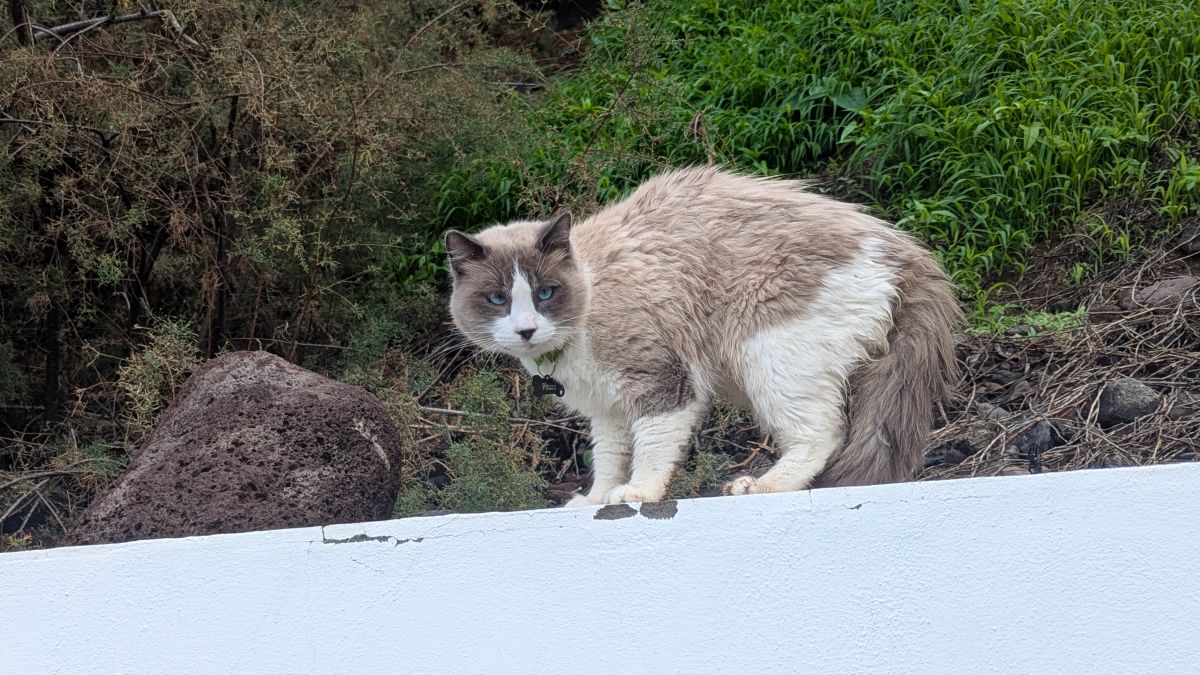 mag uns anscheinend nicht…