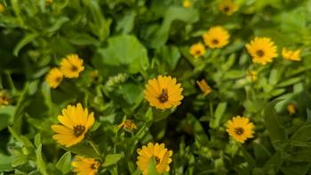 PXL_20260105_123935914