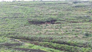 in den Hang gehauener Weinkeller