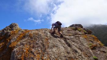 Wandern an der Nordostküste 