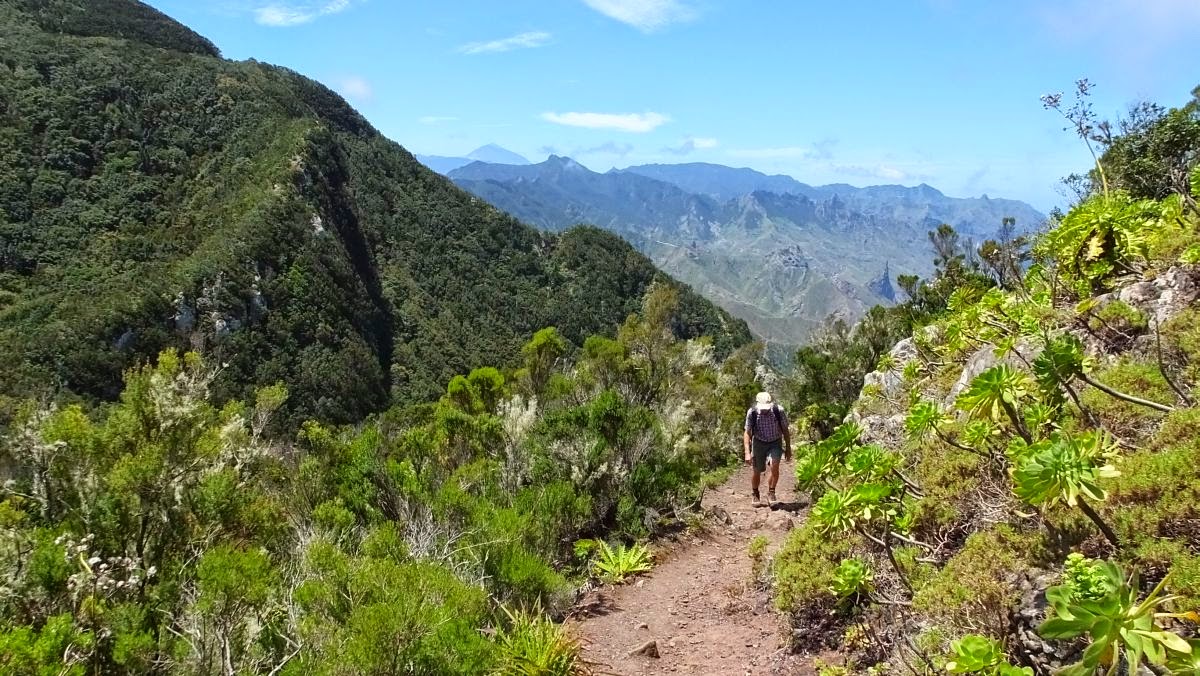 Teide im Hintergrund