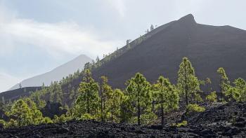 Teide und Montaña Negra, auch Volcan Garachico genannt