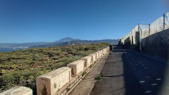 Rückweg nach Buenavista mit Teide im Blick