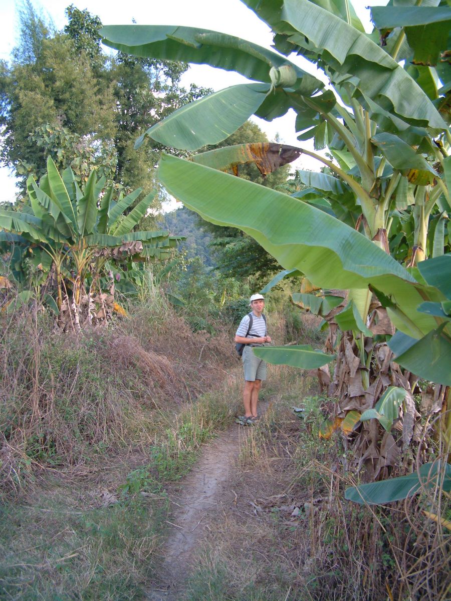 Wanderung durch die Felder