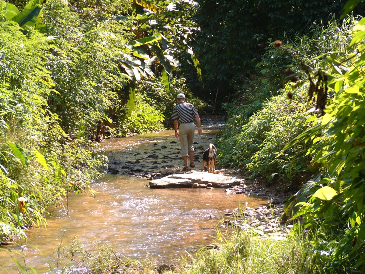 Wanderweg im Bachbett