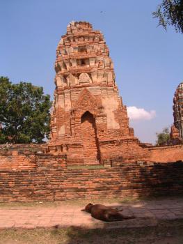 Ayutthaya