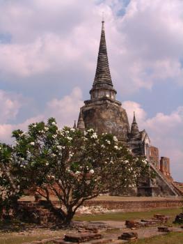 Ayutthaya