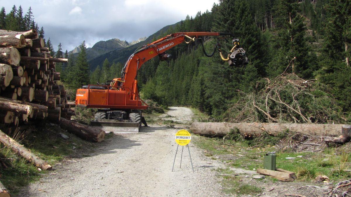 Witzbolde- wollten uns nicht mehr zurück ins Dorf lassen...