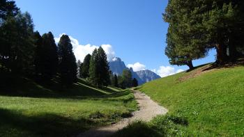 Blick zurück zum Langkofel