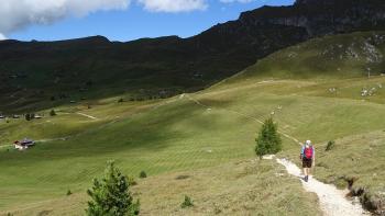 Weg zur Troier Alm