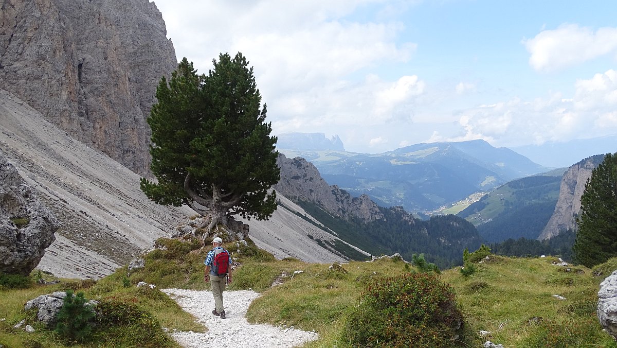 Abstieg durch das Chedultal